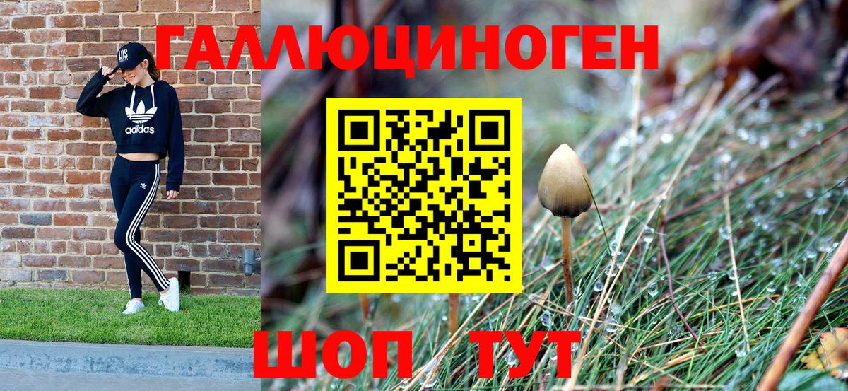Псилоцибиновые грибы Psilocybine cubensis  купить наркотики сайты  Ступино  Вход с VPN 