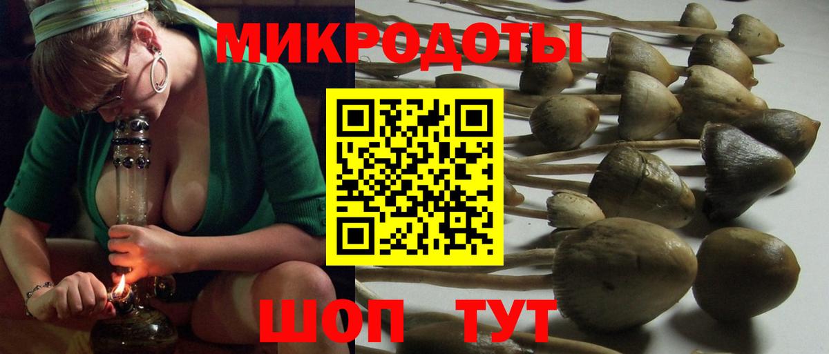 Псилоцибиновые грибы мухоморы Ступино